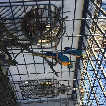 Çiftlik konaklama 1 _ Ferien Im Gutspark Mattchow