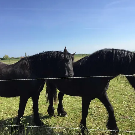 1 _ Ferien Im Gutspark *