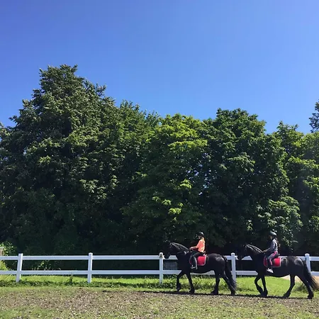 1 _ Ferien Im Gutspark Mattchow