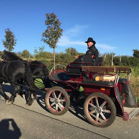 Lantgård 1 _ Ferien Im Gutspark *